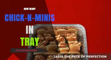 Chick-n-Minis Tray Count: How Many Fit in a Standard Tray?