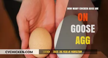 Chicken Egg Count on a Goose Egg
