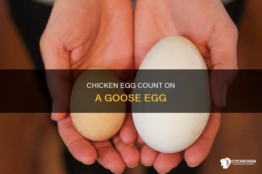 how many chicken aggs are on goose agg