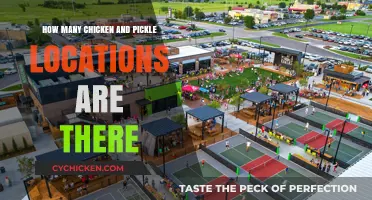 Chicken and Pickle: A Growing Restaurant Chain
