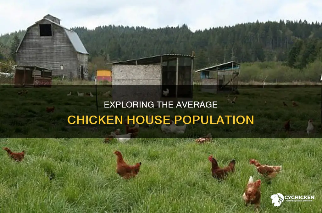 how many chicken are in a chicken house