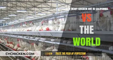 California's Chicken Population: A Global Comparison
