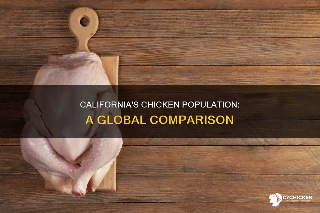 how many chicken are in california vs the world