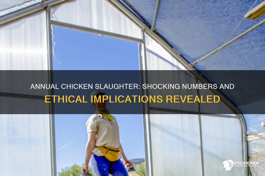 how many chicken are killed a year