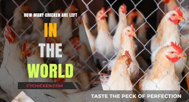 Chicken Count: Global Numbers Explored