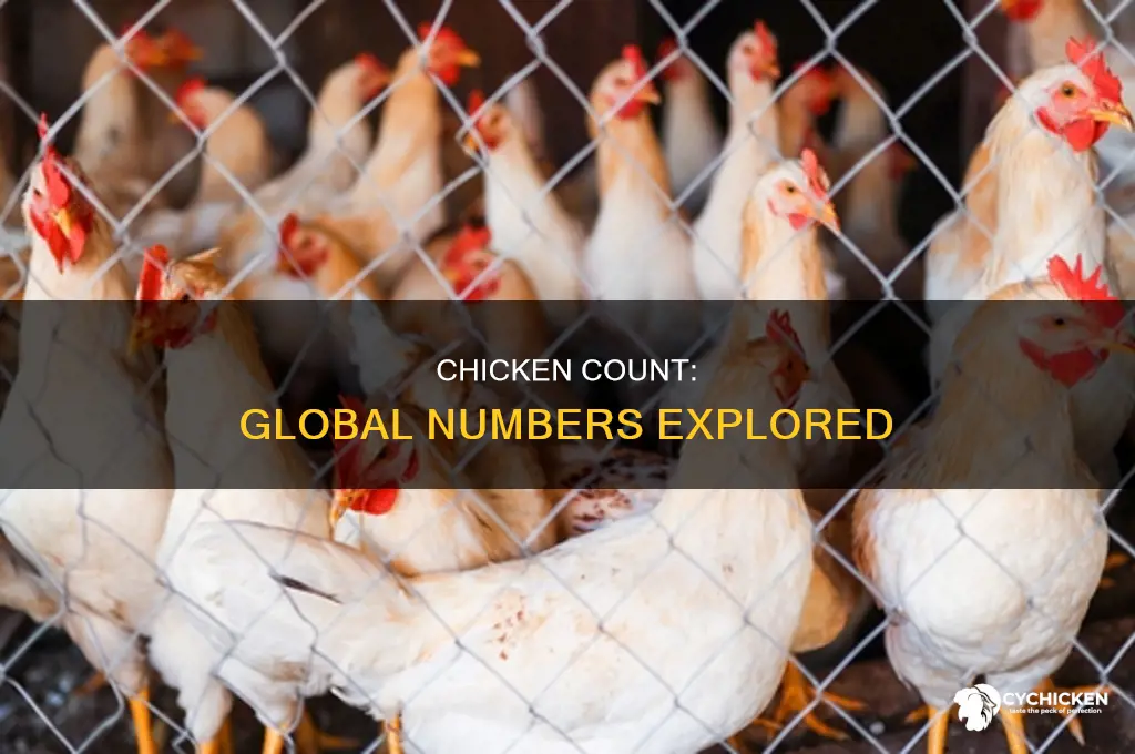 how many chicken are left in the world