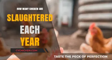 Annual Chicken Slaughter: Shocking Numbers and Global Impact Revealed