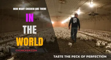 Chicken Population: How Many Exist Globally?