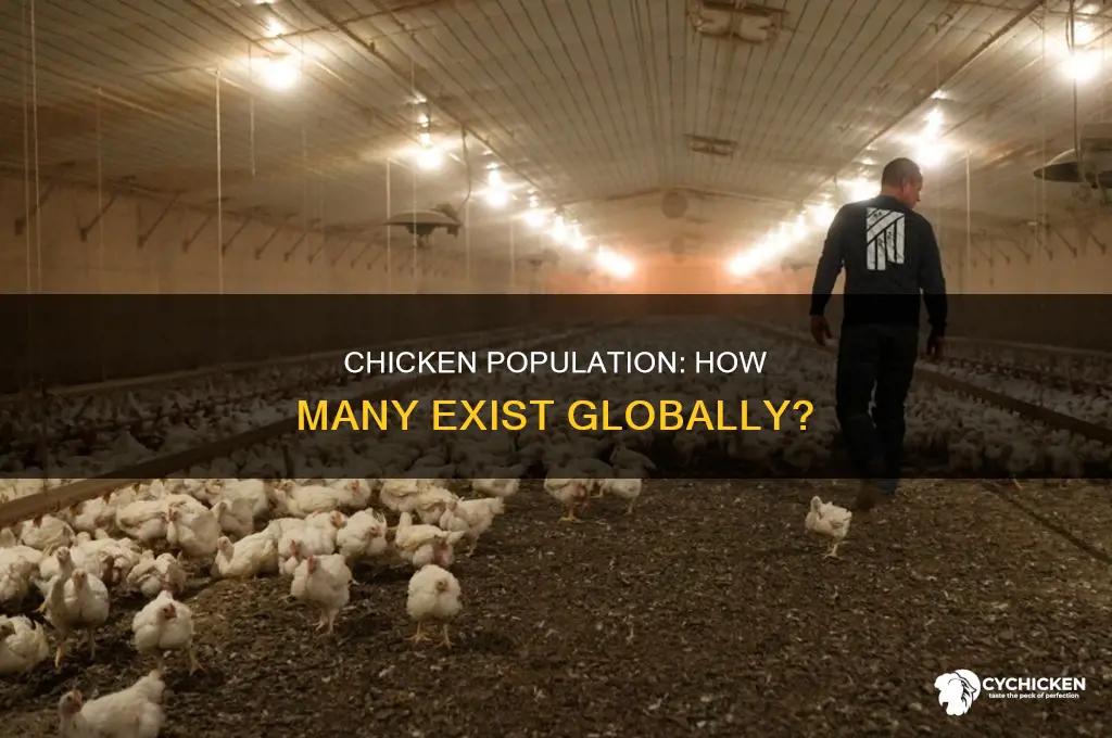 how many chicken are there in the world