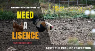 When Chickens Need a License: The Rules and Regulations