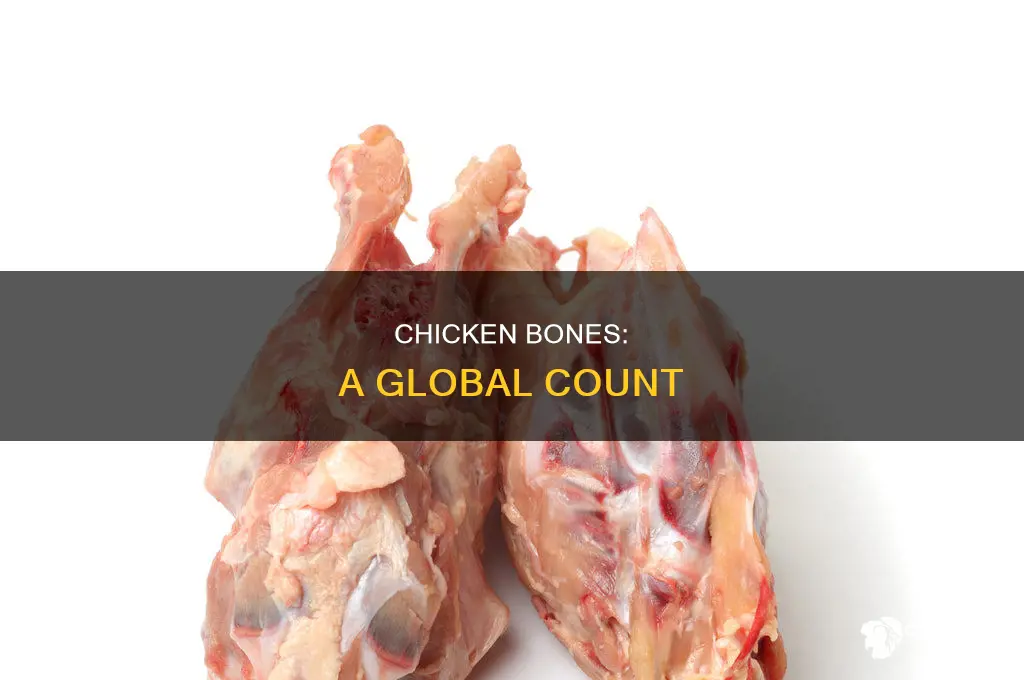 how many chicken bones are on the planet