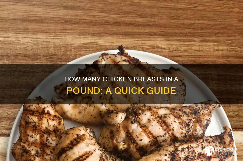 how many chicken breats in a pound
