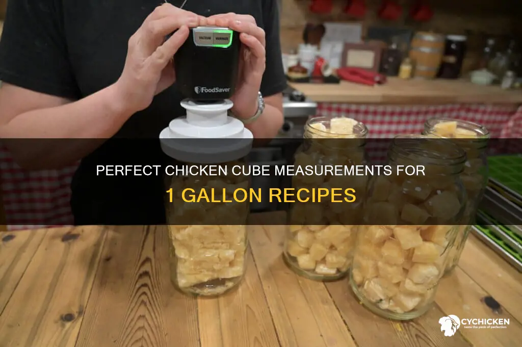 how many chicken cubes for 1 gallon
