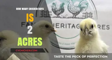 Calculating Chicken Days: How Much Can 2 Acres Sustain?