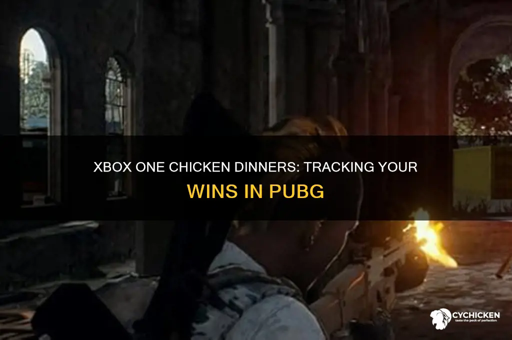 how many chicken dinners in xbox one