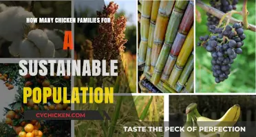 Breeding Strategies for a Sustainable Chicken Population