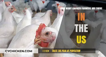Chicken Farmers: The US Count Unveiled