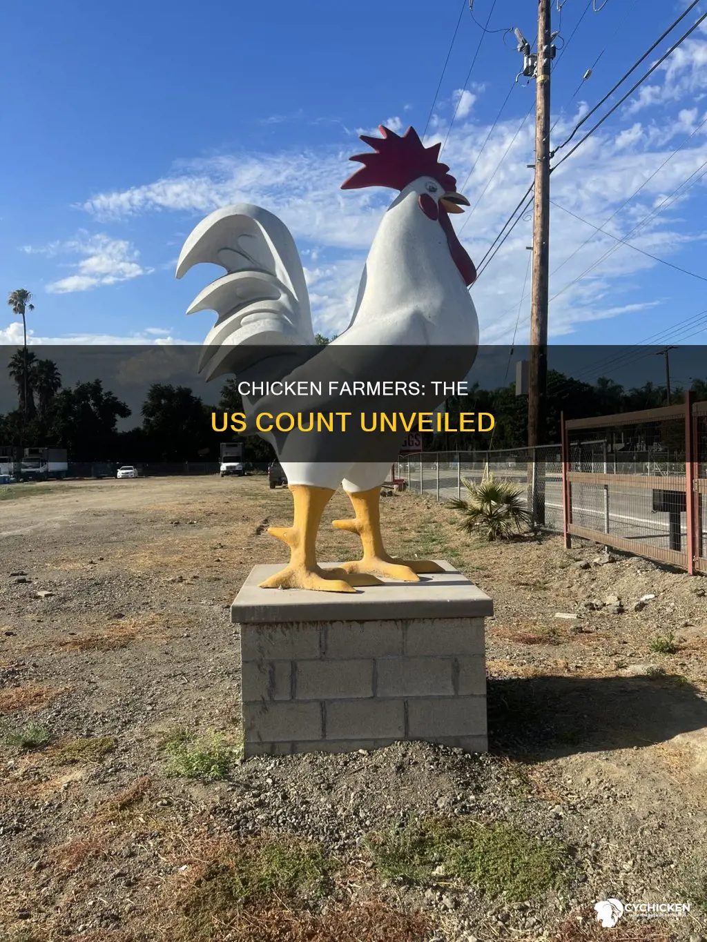 how many chicken farmers are there in the us