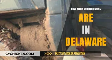Delaware's Chicken Farming Industry: Exploring the Number of Poultry Farms