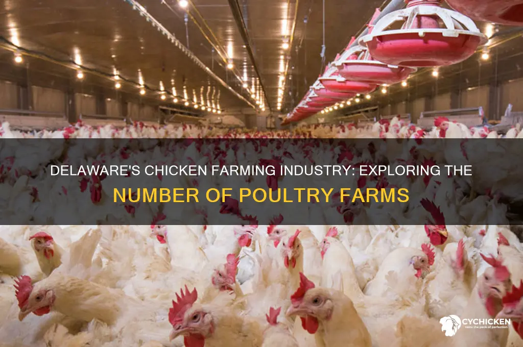 how many chicken farms are in delaware