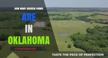 Exploring Oklahoma's Poultry Industry: Counting Chicken Farms in the State
