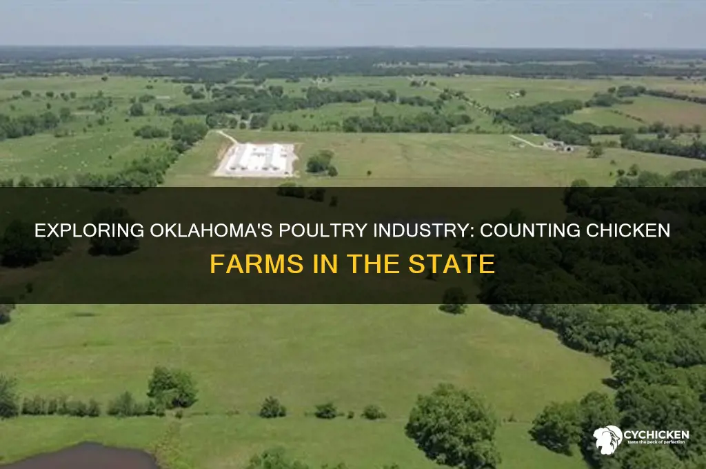 how many chicken farms are in oklahoma