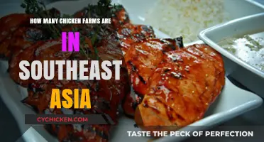 Chicken Farms in Southeast Asia: A Comprehensive Overview