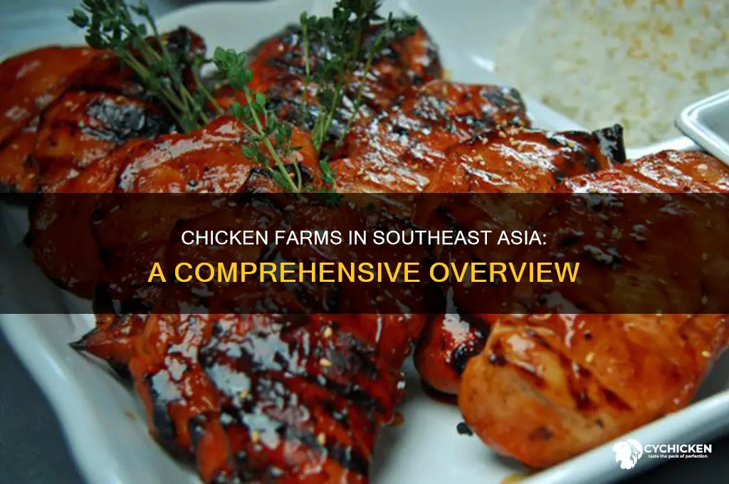 how many chicken farms are in southeast asia