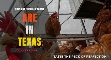 Texas Chicken Farming: Exploring the Number of Poultry Farms Statewide