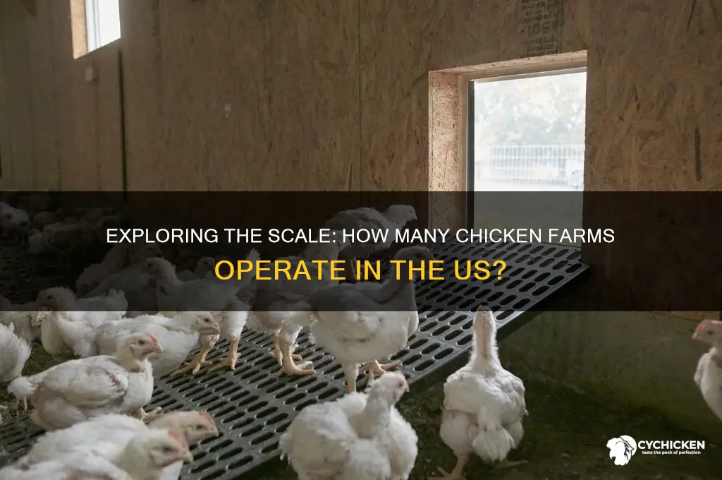 how many chicken farms are in the us