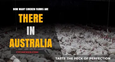 Chicken Farms in Australia: A Comprehensive Overview