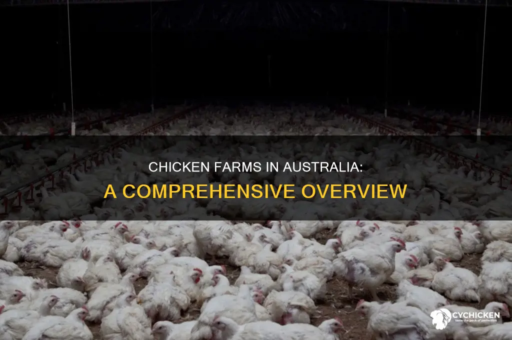 how many chicken farms are there in australia