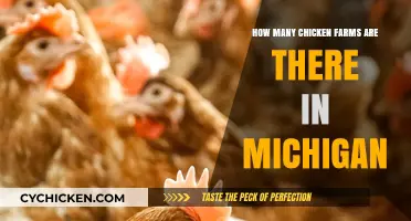 Chicken Farms in Michigan: A Comprehensive Count