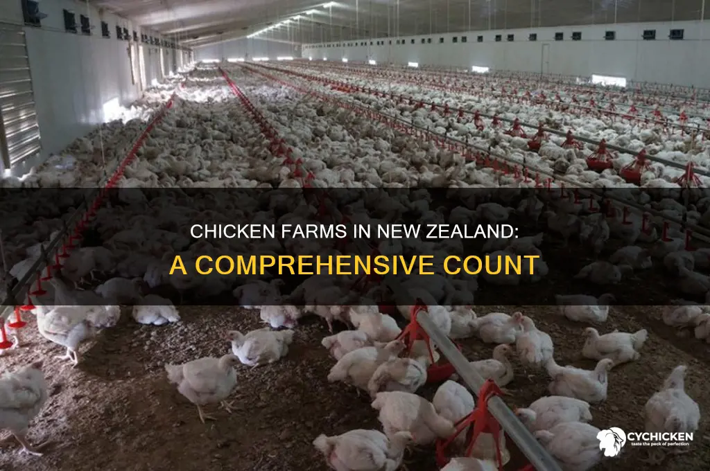 how many chicken farms are there in nz
