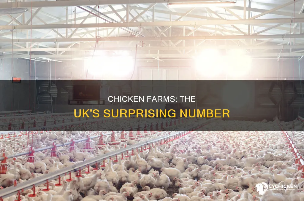 how many chicken farms are there in the uk