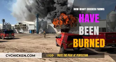 Devastating Fires: The Rising Toll on Chicken Farms Nationwide