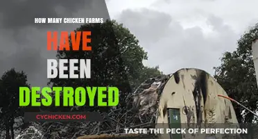 Devastating Losses: Counting Destroyed Chicken Farms and Their Impact