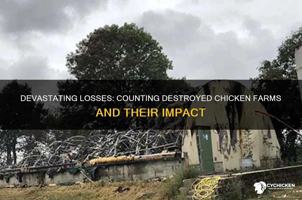 how many chicken farms have been destroyed
