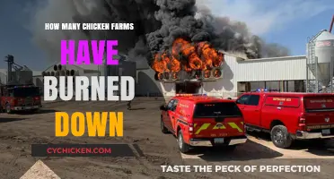 Rising Inferno: Tracking Devastating Chicken Farm Fires Nationwide