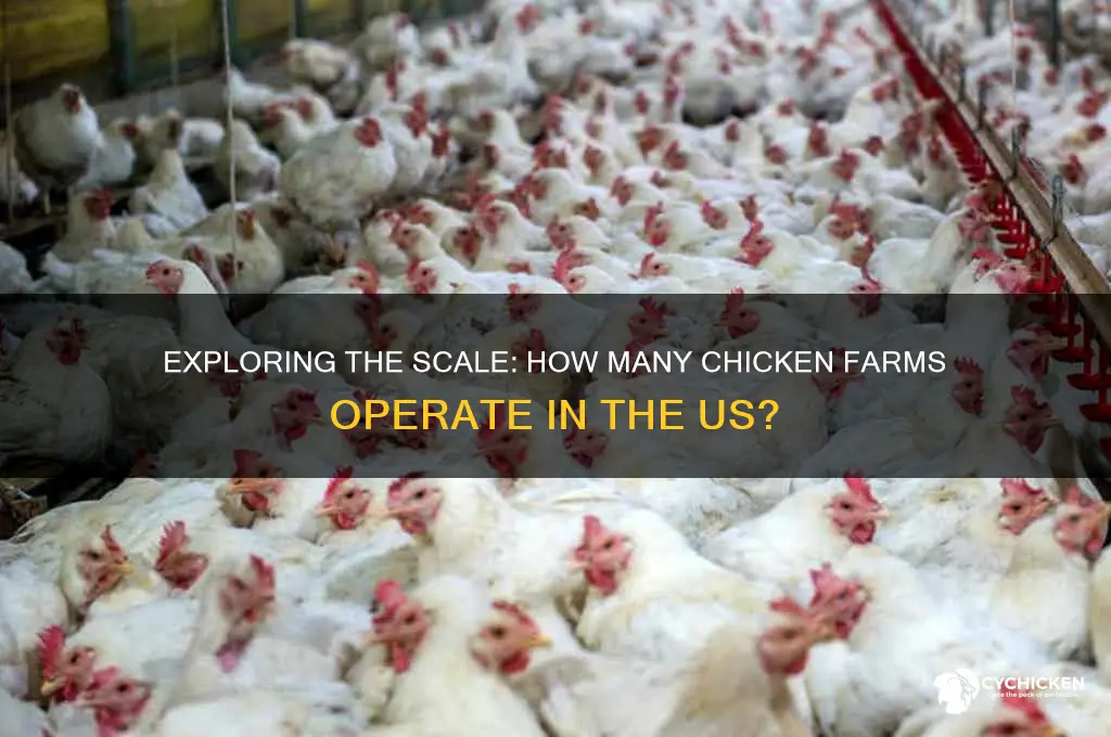 how many chicken farms in the us