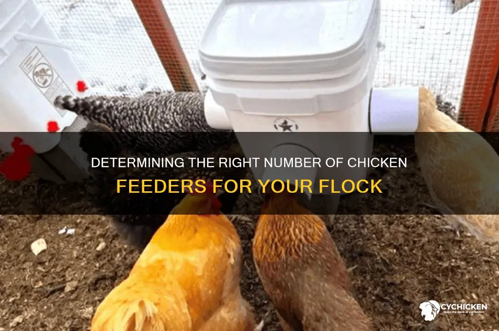 how many chicken feeders do i need
