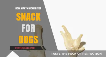 Chicken Feet Snacks for Dogs: Quantity, Benefits, and Safety Tips