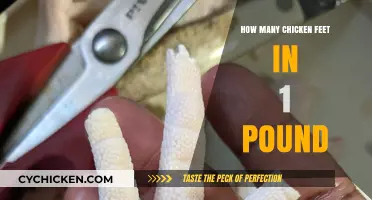 How Many Chicken Feet in a Pound: A Detailed Guide