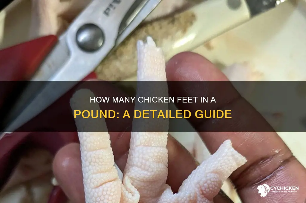 how many chicken feet in 1 pound