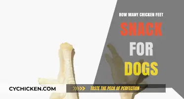 Chicken Feet Snacks for Dogs: Safe Serving Sizes Explained