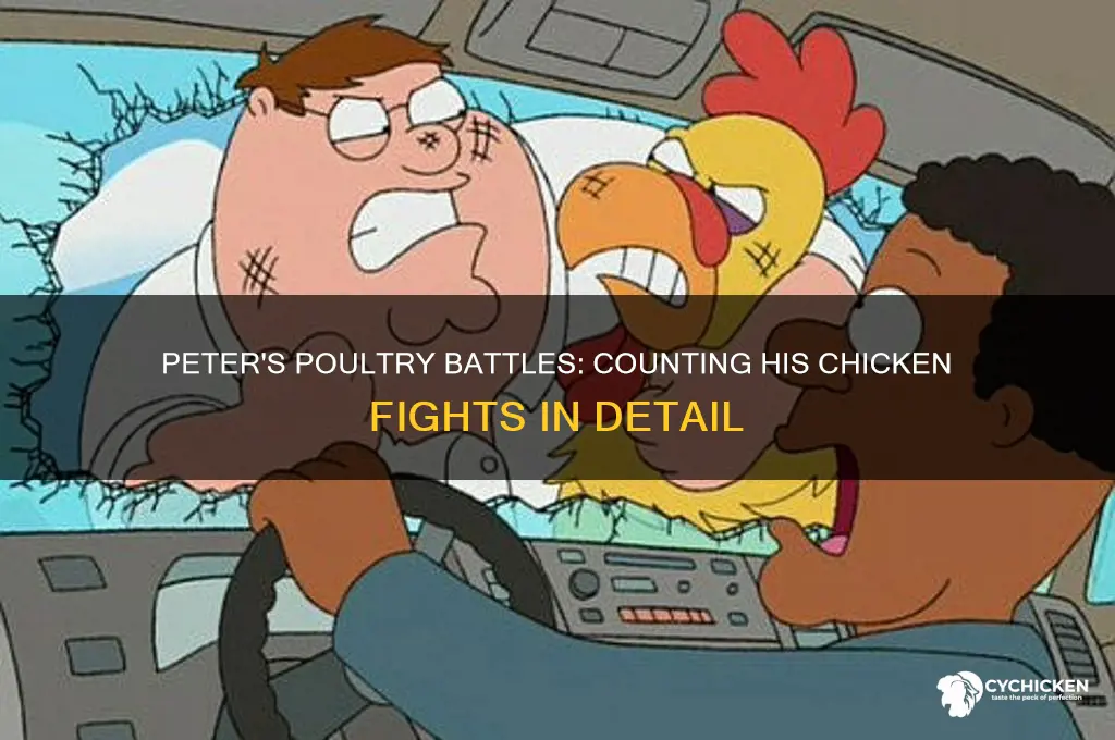 how many chicken fights does peter have