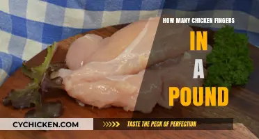How Many Chicken Fingers in a Pound: A Tasty Calculation