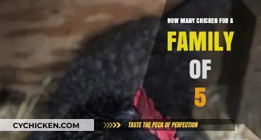 Feeding a Family of Five: How Many Chickens?