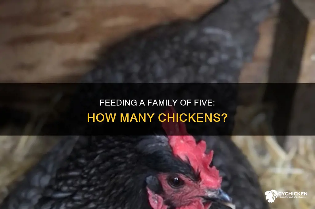 how many chicken for a family of 5