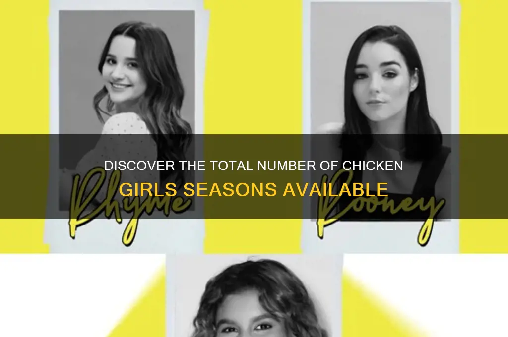 how many chicken girl seasons are there
